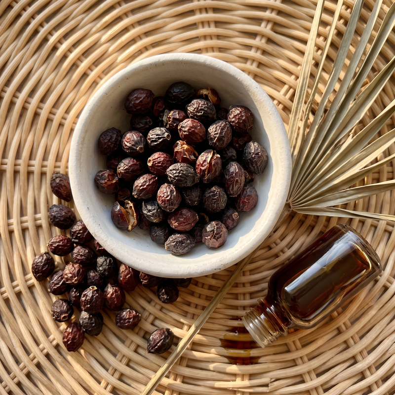 Saw palmetto berries on a palm frond with a dropper of amber extract